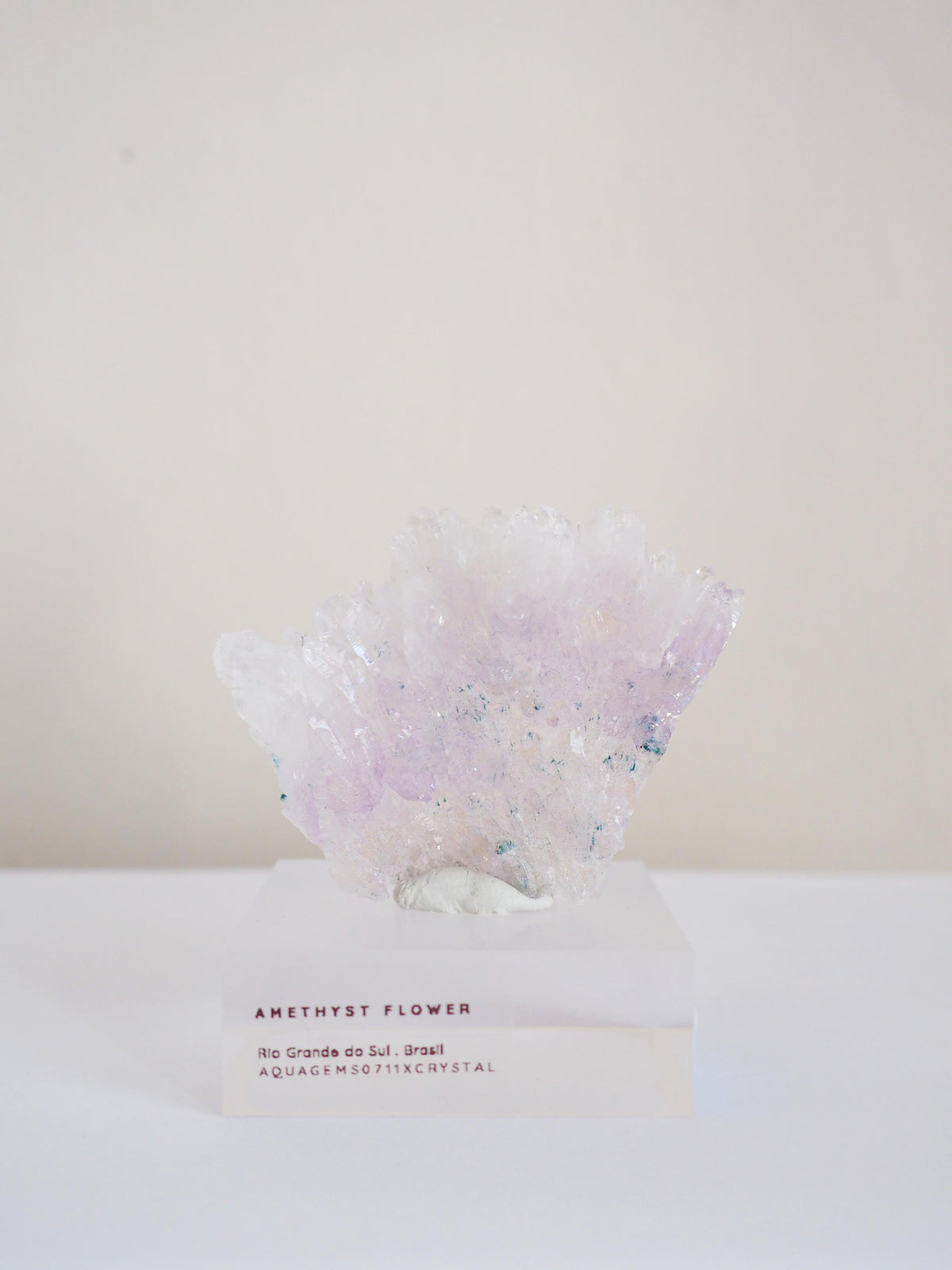 Amethyst Flower . Amethyst Blume Specimen - Rio Grande do Sul . Brasilien HIGH QUALITY