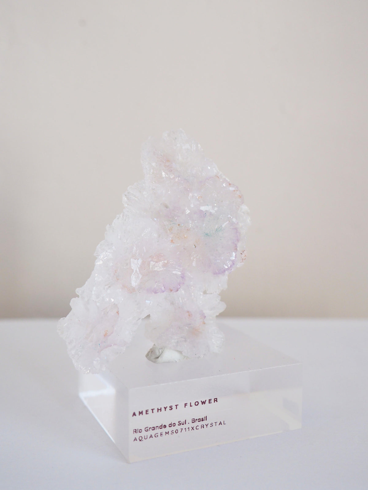 Amethyst Flower . Amethyst Blume Specimen - Rio Grande do Sul . Brasilien HIGH QUALITY
