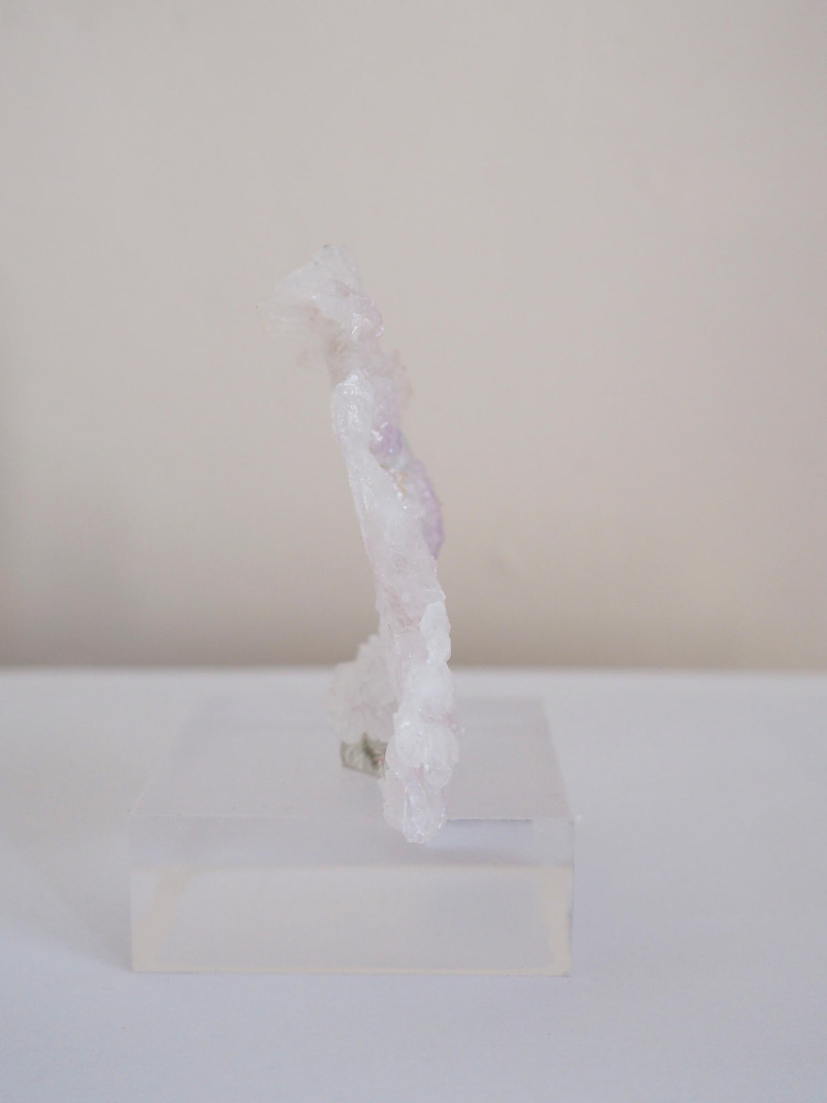 Amethyst Flower . Amethyst Blume Specimen - Rio Grande do Sul . Brasilien HIGH QUALITY