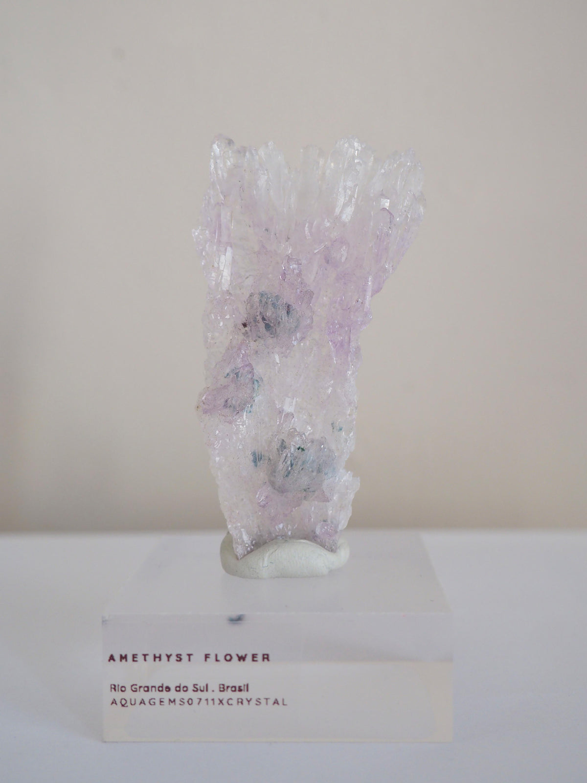 Amethyst Flower . Amethyst Blume Specimen - Rio Grande do Sul . Brasilien HIGH QUALITY