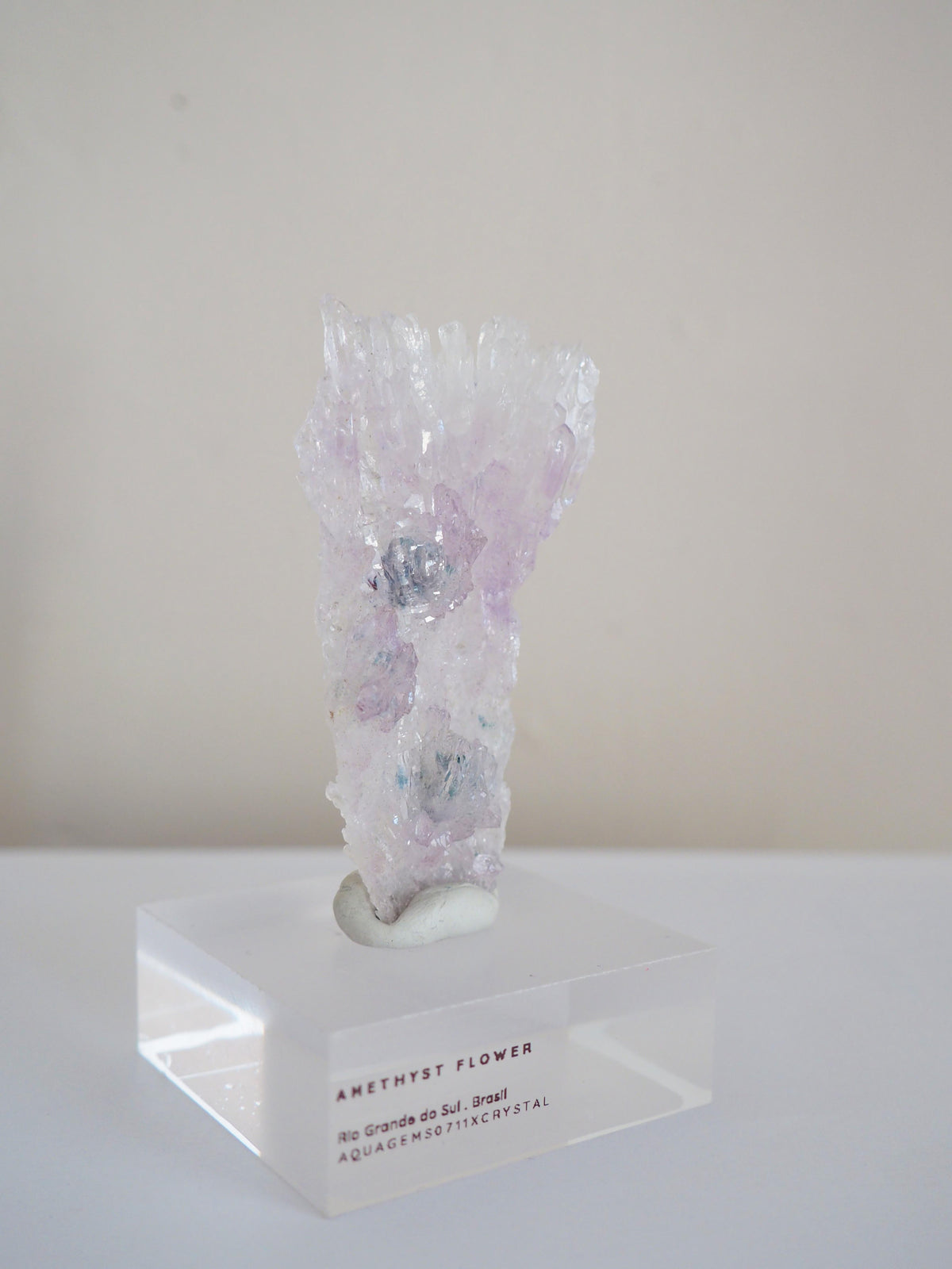 Amethyst Flower . Amethyst Blume Specimen - Rio Grande do Sul . Brasilien HIGH QUALITY