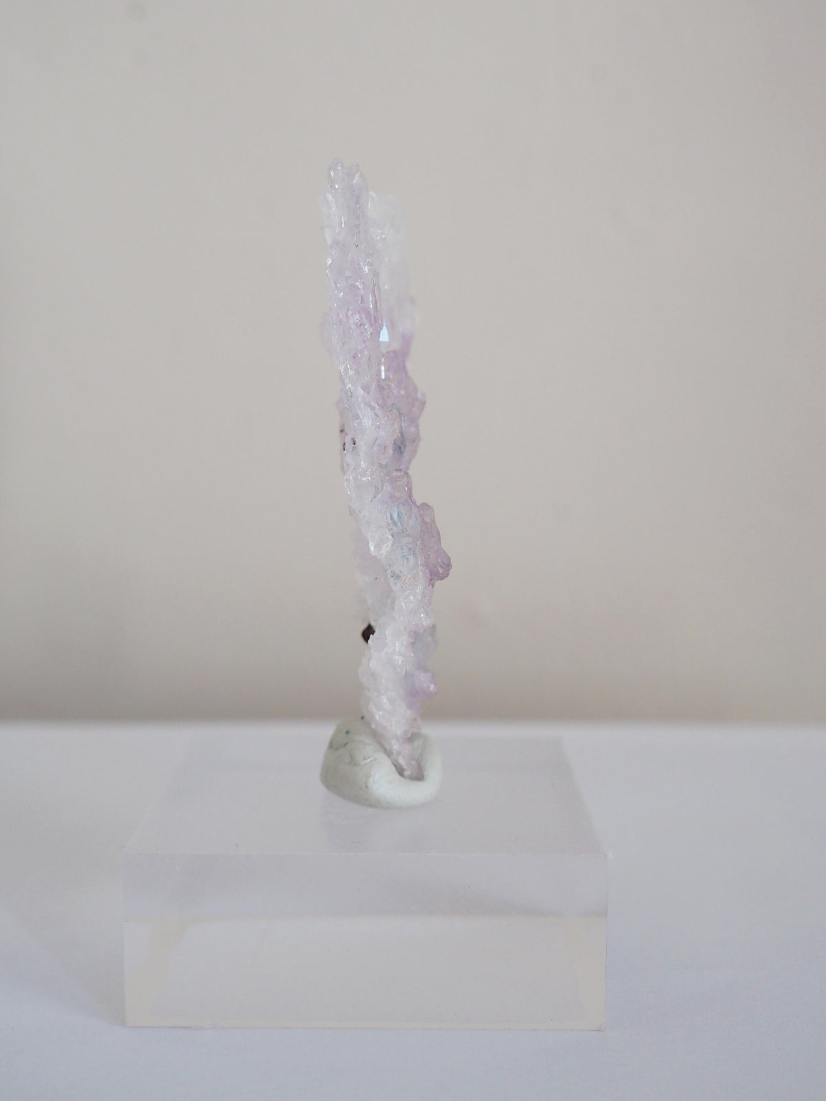 Amethyst Flower . Amethyst Blume Specimen - Rio Grande do Sul . Brasilien HIGH QUALITY