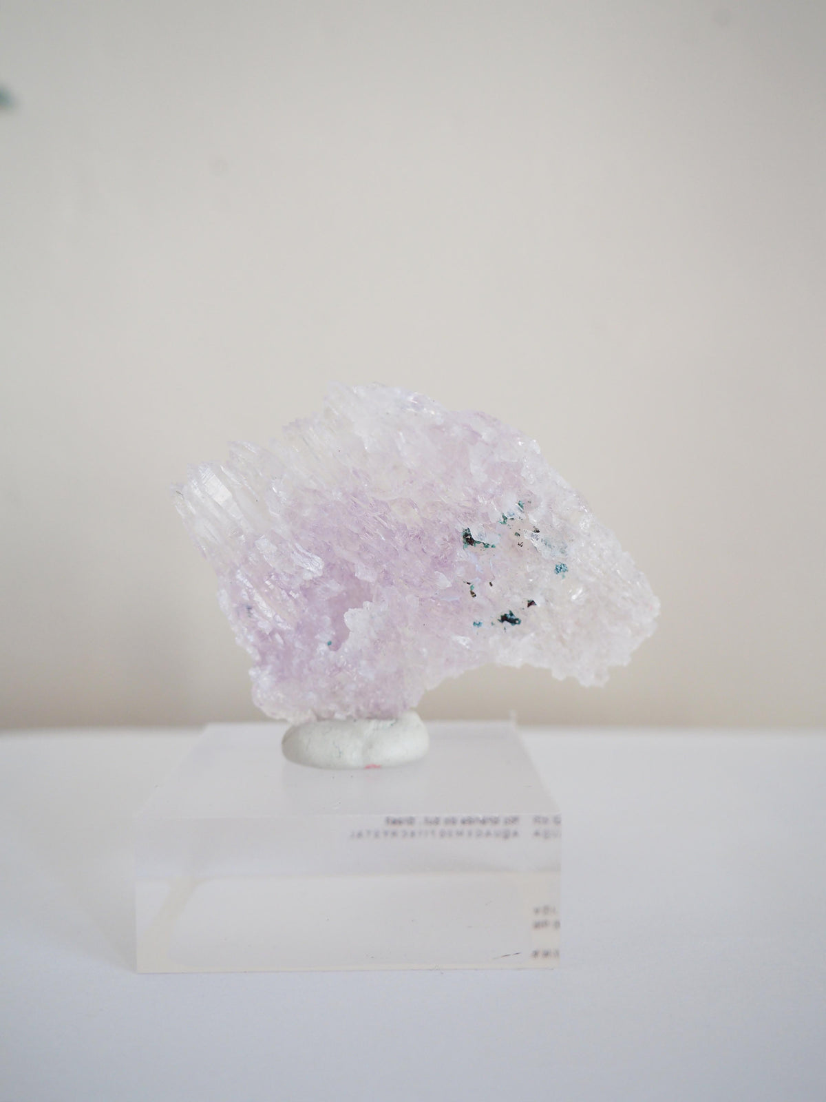 Amethyst Flower . Amethyst Blume Specimen - Rio Grande do Sul . Brasilien HIGH QUALITY