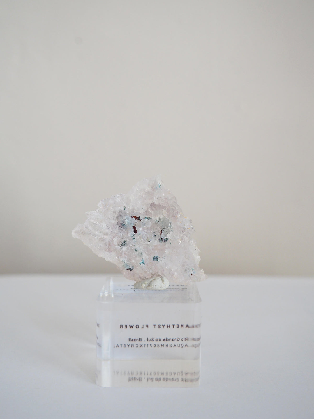 Amethyst Flower . Amethyst Blume Specimen - Rio Grande do Sul . Brasilien HIGH QUALITY