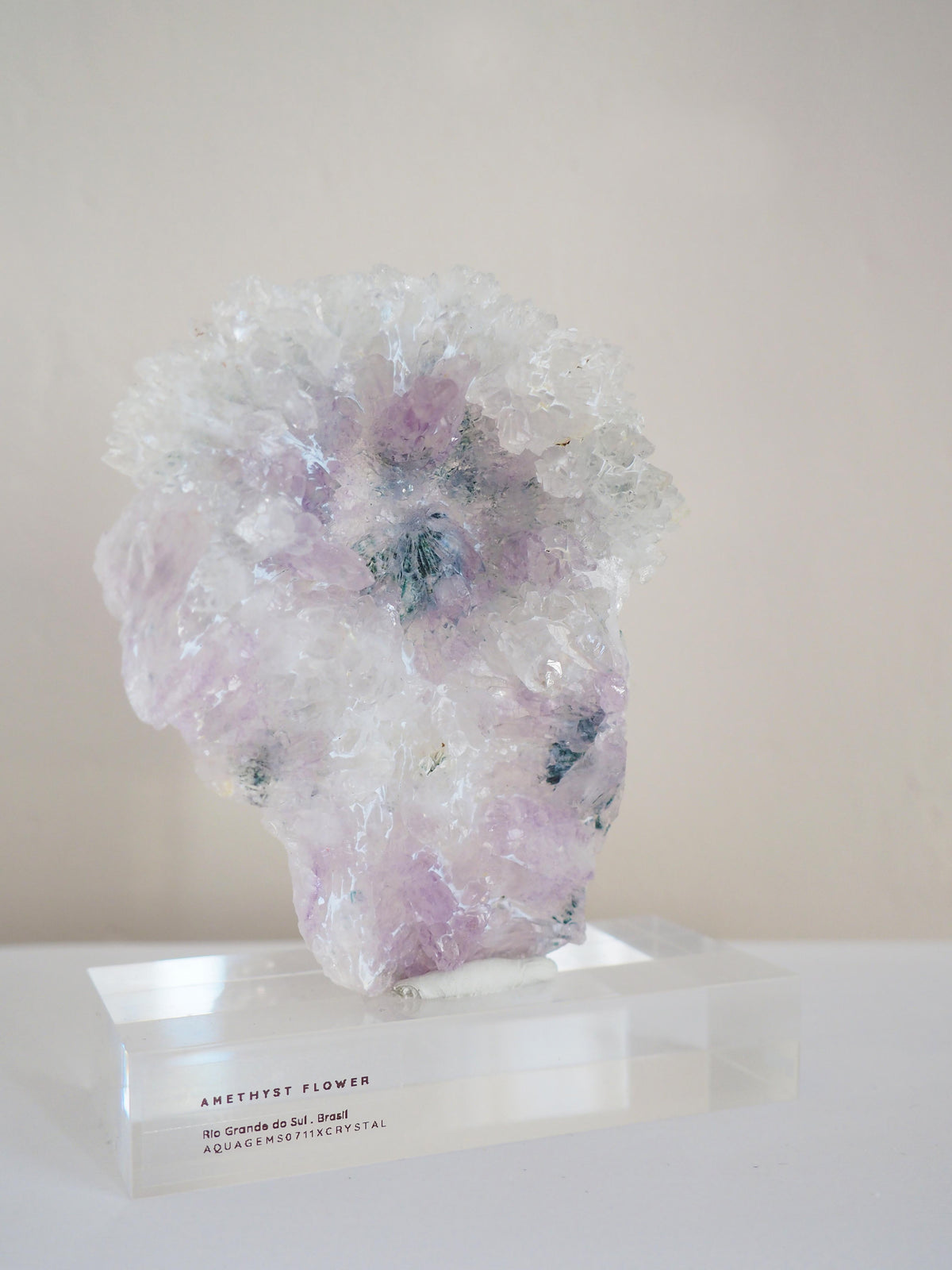 Amethyst Flower . Amethyst Blume Specimen - Rio Grande do Sul . Brasilien HIGH QUALITY