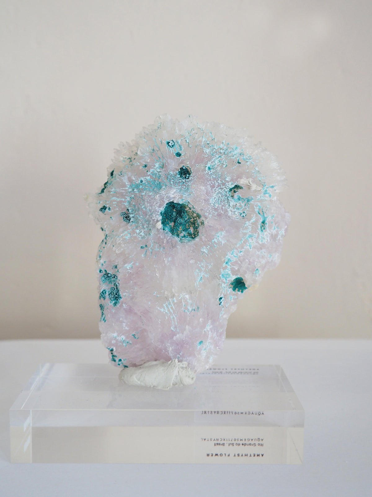 Amethyst Flower . Amethyst Blume Specimen - Rio Grande do Sul . Brasilien HIGH QUALITY