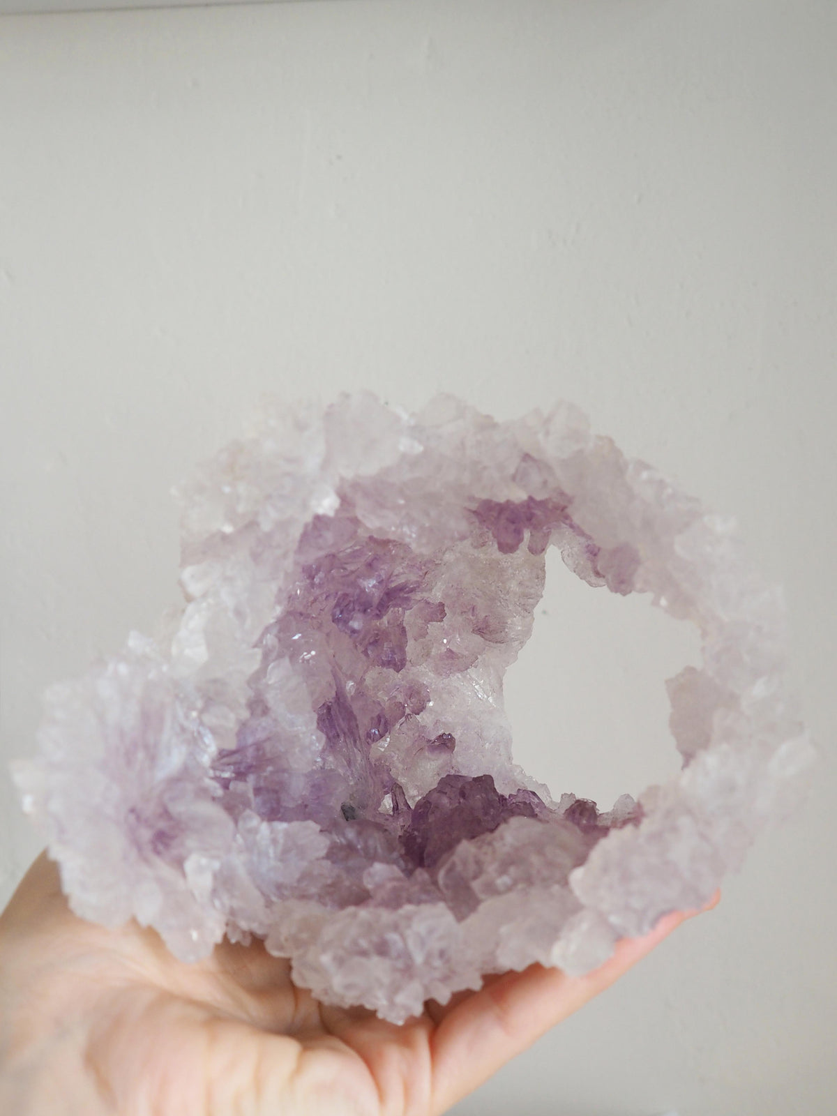 Amethyst Flower . Amethyst Blume Specimen - Rio Grande do Sul . Brasilien HIGH QUALITY