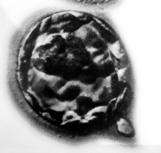 Deine Blastocyste als Anhänger 16.5mm 925 Sterlingsilber