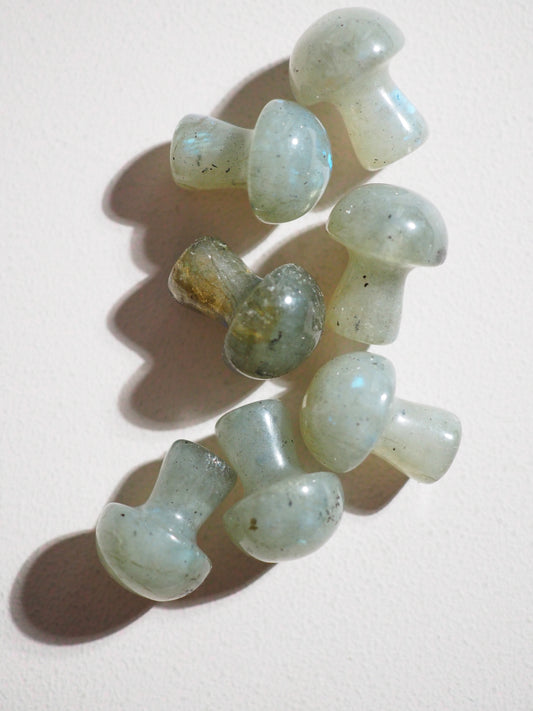 Labradorit Mini Pilz . Labradorite Mini Mushroom ca. 2 cm