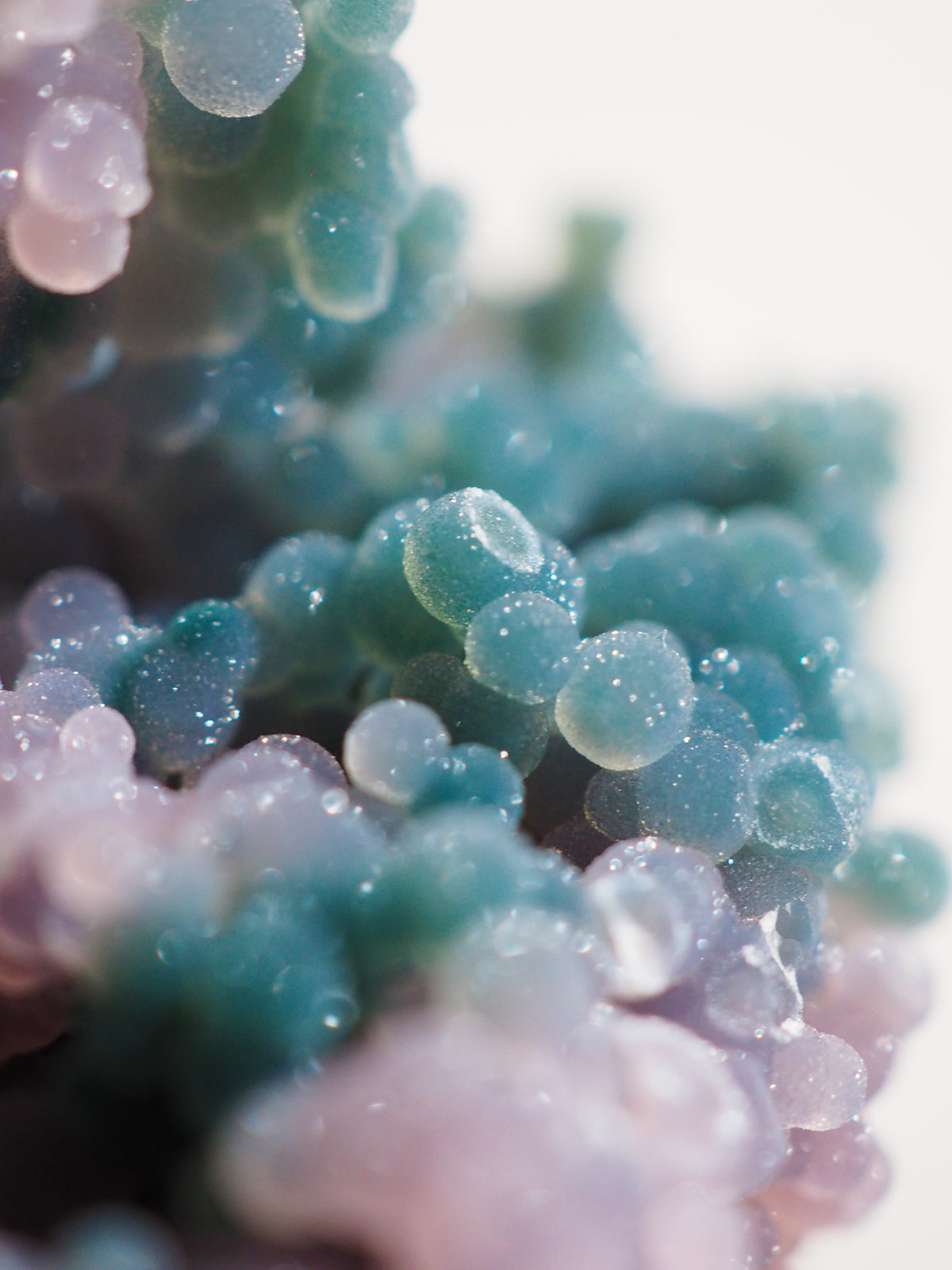Trauben Achat / Grape Agate . Traubenachat Bicolor "LE DOLPHIN" 15 cm 578 g - aus Mamuju Area West-Sulawesi Indonesien - High Quality RARE COLOR