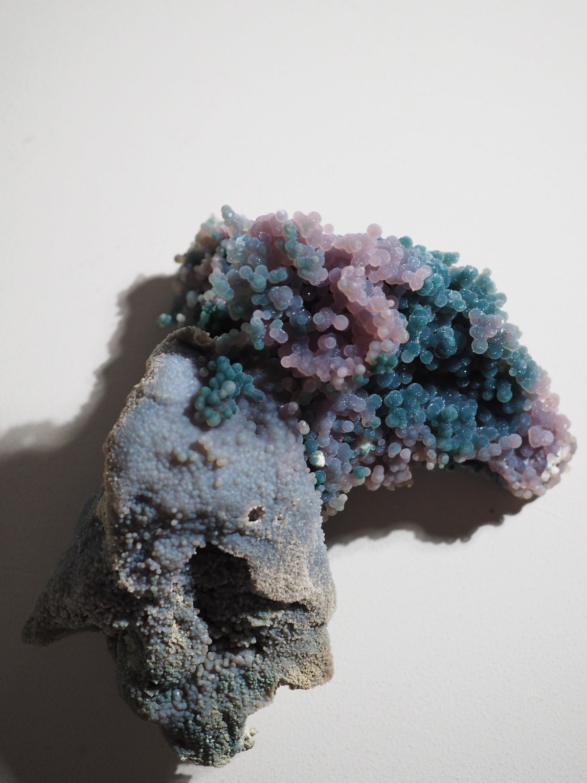 Trauben Achat / Grape Agate . Traubenachat Bicolor "LE DOLPHIN" 15 cm 578 g - aus Mamuju Area West-Sulawesi Indonesien - High Quality RARE COLOR