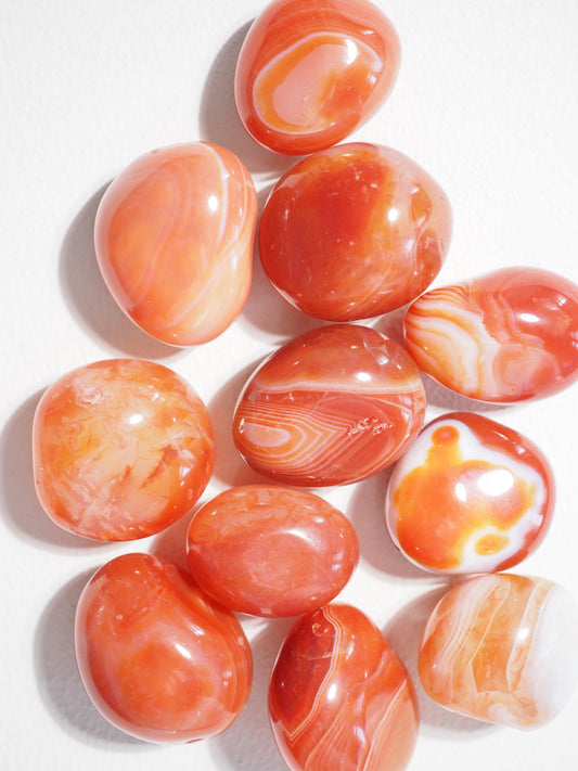 Karneol Gebr.  Carneol . Carnelian ca. 2-3 cm Trommel Stein - aus Brasilien High Quality