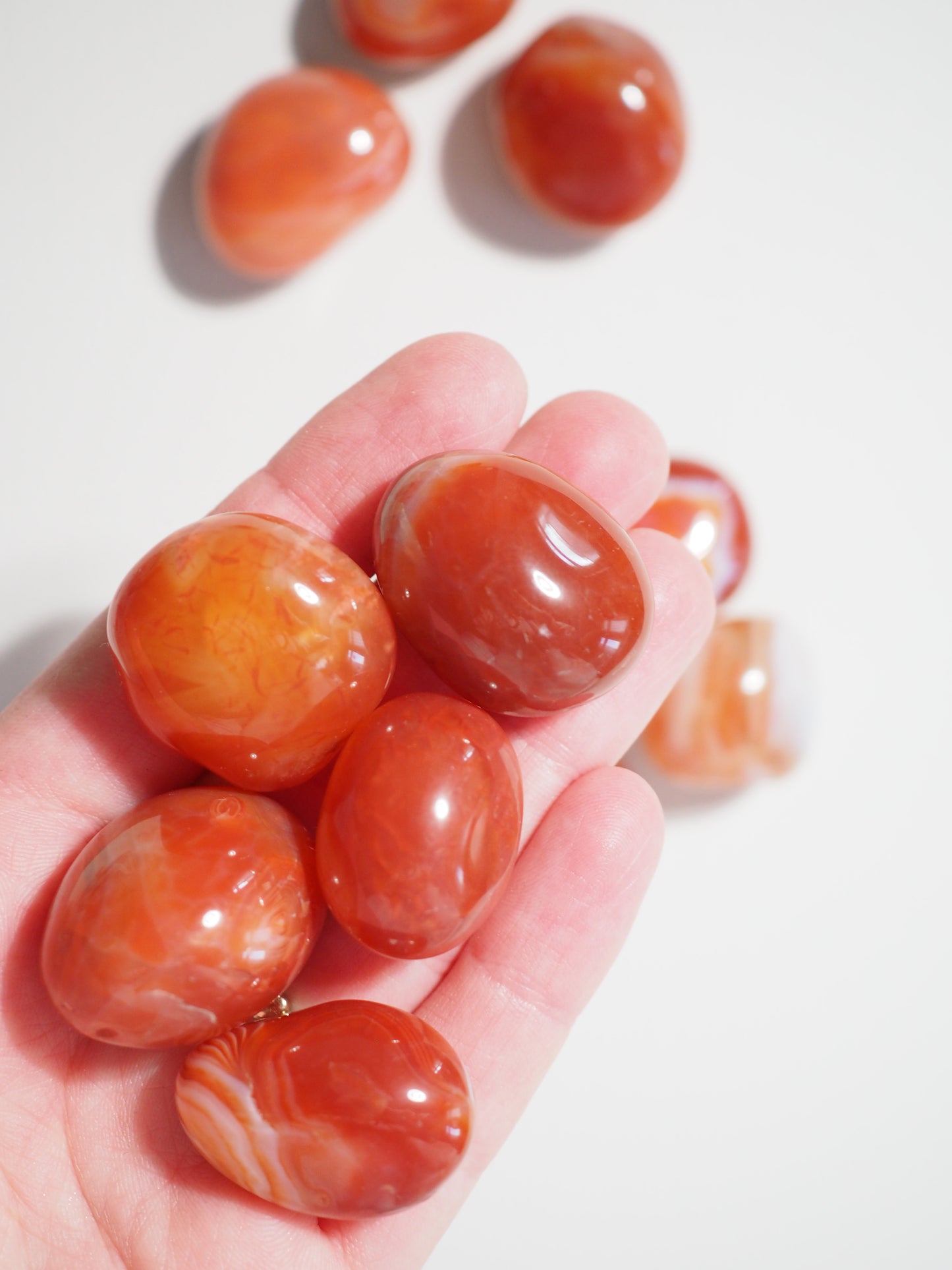 Karneol Gebr. Carneol . Carnelian ca. 2-3 cm Trommel Stein - aus Brasilien High Quality