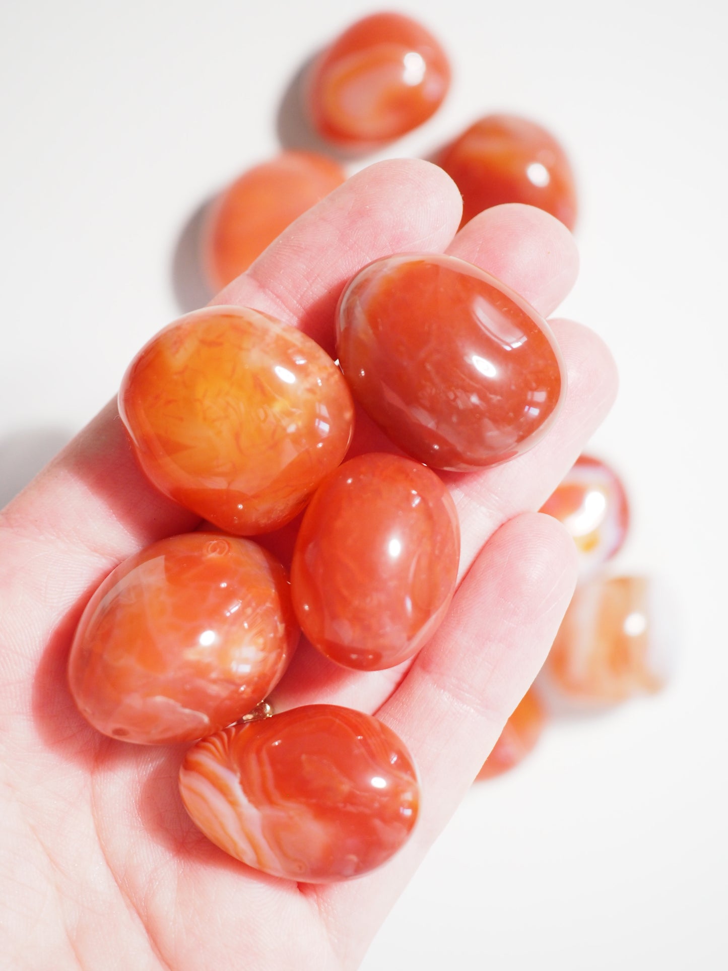 Karneol Gebr. Carneol . Carnelian ca. 2-3 cm Trommel Stein - aus Brasilien High Quality
