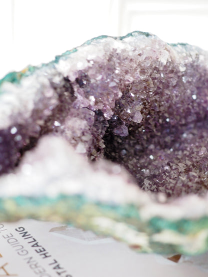 Auster Amethyst Cluster  ca 24 cm [xx] - aus Brasilien