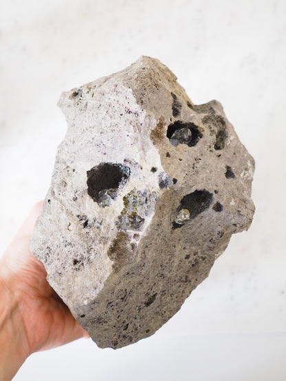 XL Echte Herkimer Diamanten (Bergkristall doppelender ) in Matrix ca 17 x 11 cm xx g . PARADISE COLLECTION - aus USA, New York