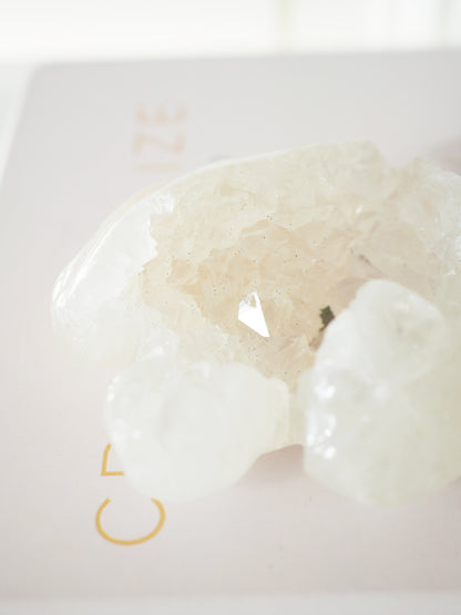 Druzy Blumen Achat mit Quarz  Schildkröte ca. 8.5 cm [xx]- aus Madagascar