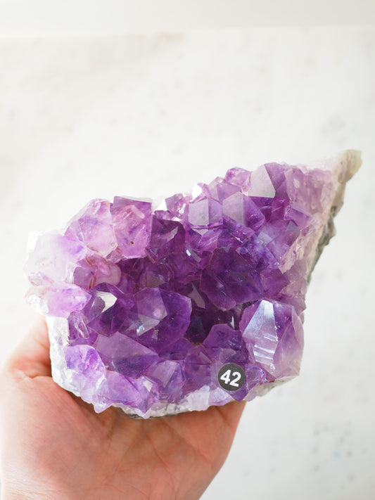 Amethyst Cluster ca. 15.5cm 538g . PARADISE COLLECTION - aus Brasilien HIGH QUALITY