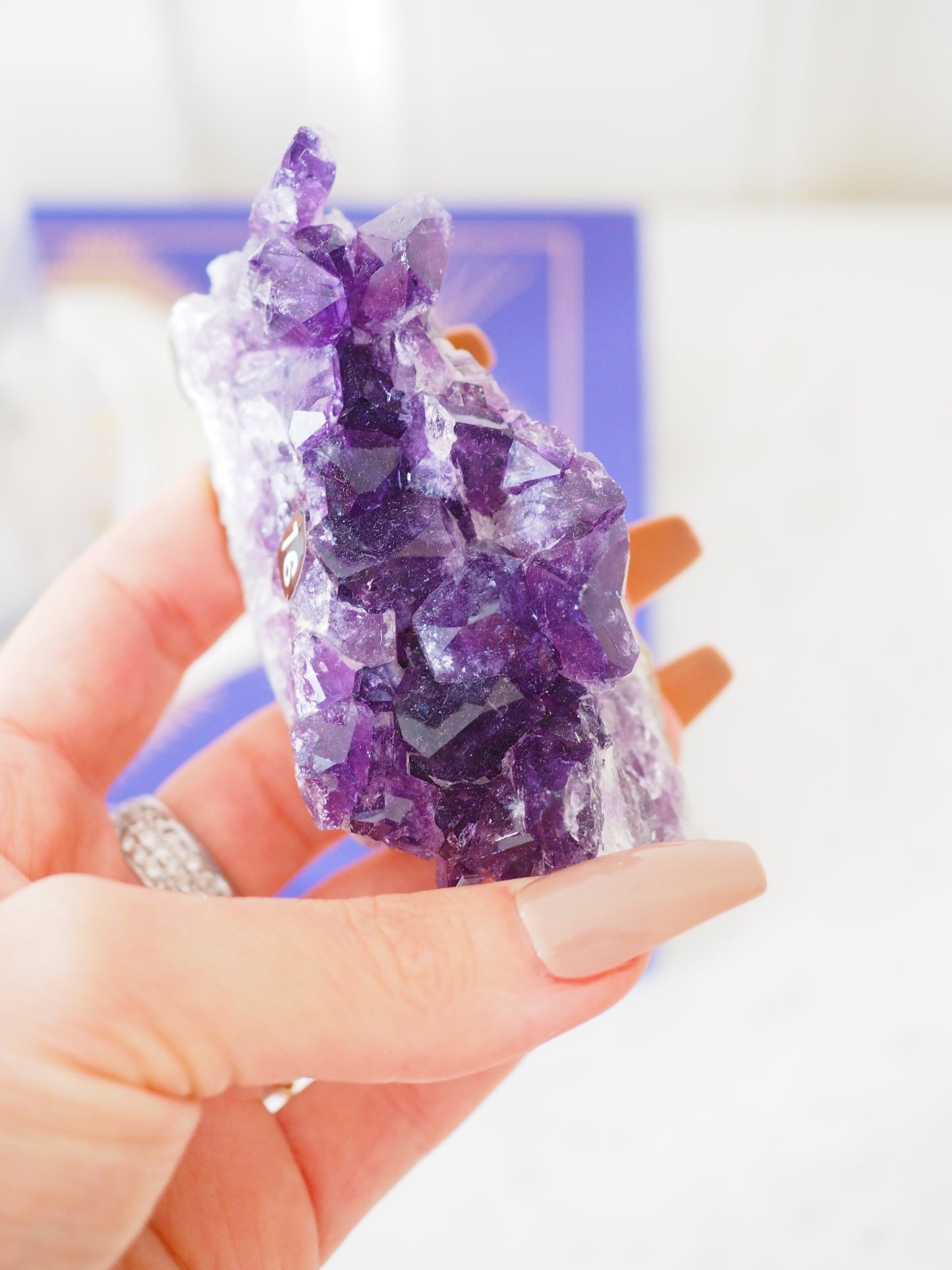 Amethyst Cluster ca. 8 cm  - aus Brasilien HIGH QUALITY [16]