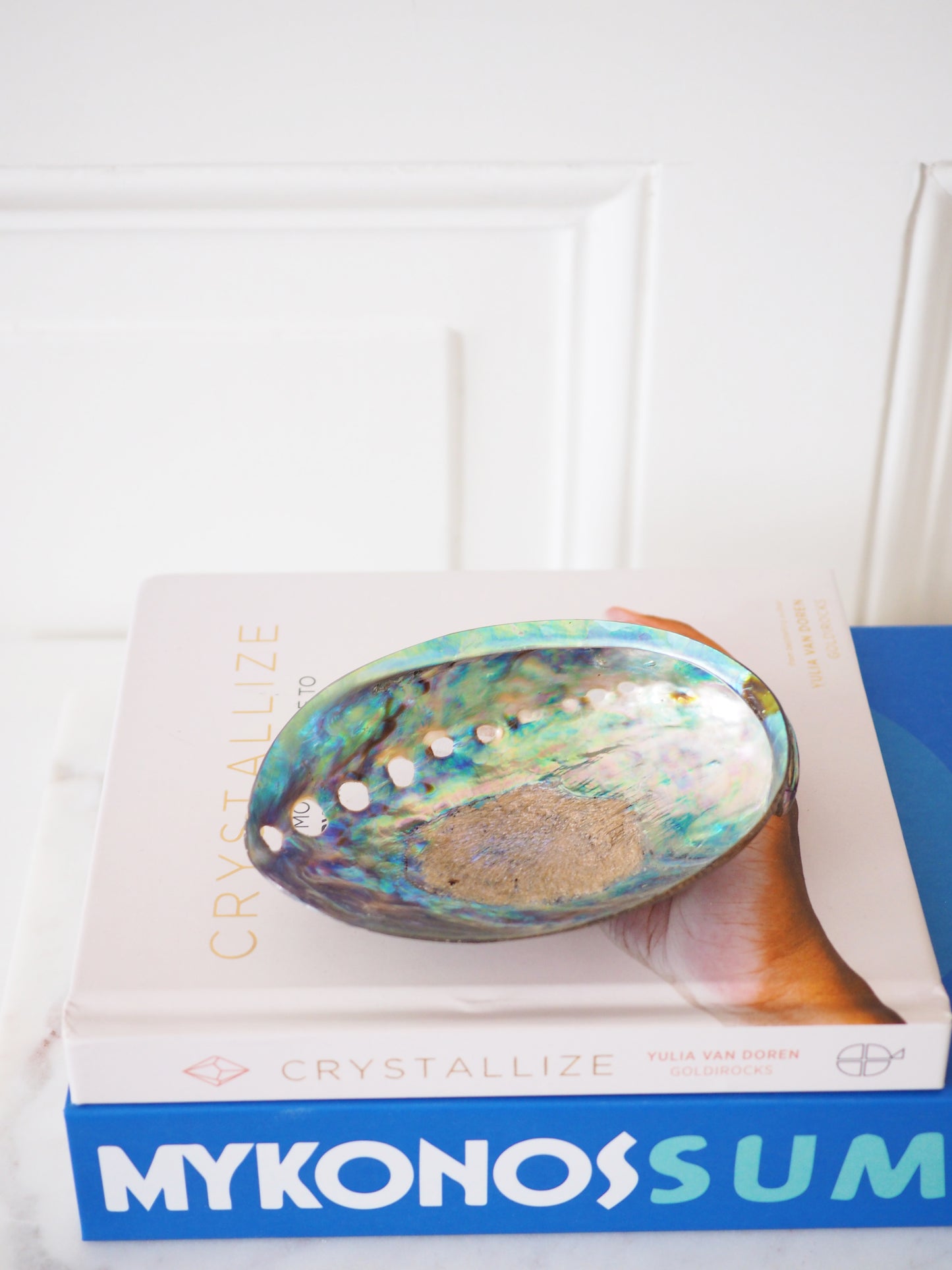 Abalone Muschel . Abalone Shell ca. 12.5 cm