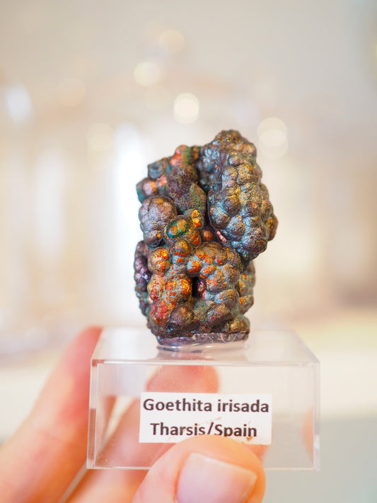 Irrisierende Goethit . Iridescent Goetite Specimen [ 2 ] ca. 4 cm - aus Tharsis . Spanien