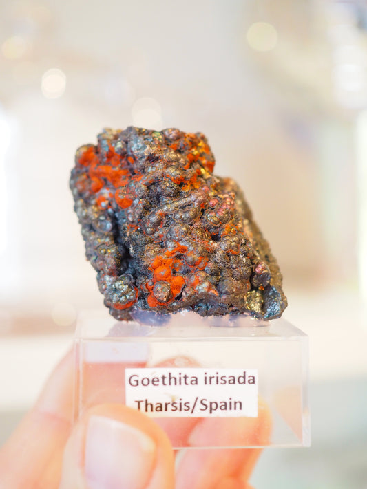 Irrisierende Goethit . Iridescent Goetite Specimen [ 3 ] ca. 4 cm - aus Tharsis . Spanien