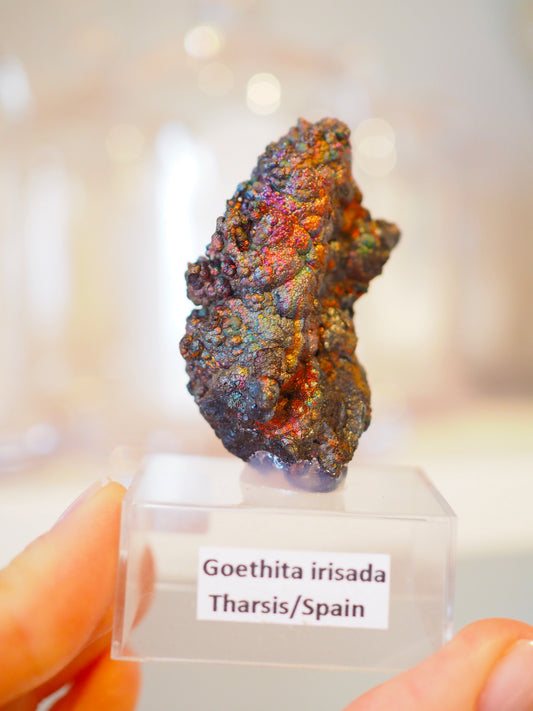 Irrisierende Goethit . Iridescent Goetite Specimen [ 5 ] ca. 5 cm - aus Tharsis . Spanien
