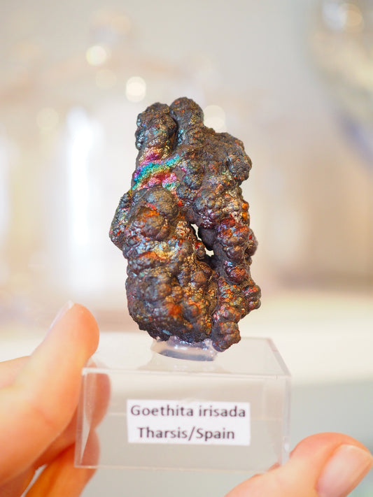 Irrisierende Goethit . Iridescent Goetite Specimen [ 6 ] ca. 5.5 cm - aus Tharsis . Spanien