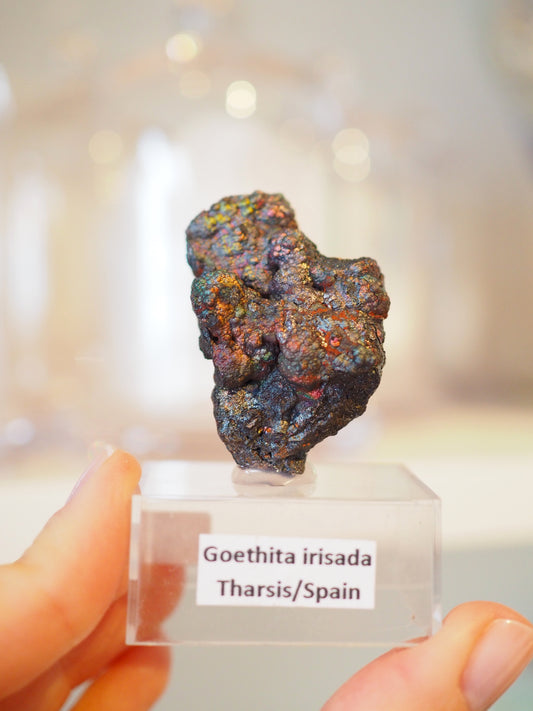 Irrisierende Goethit . Iridescent Goetite Specimen [ 7 ] ca. 4 cm - aus Tharsis . Spanien