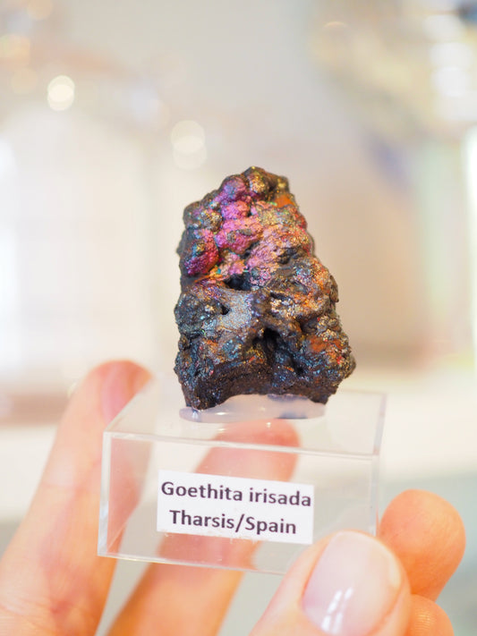 Irrisierende Goethit . Iridescent Goetite Specimen [ 10 ] ca. 4 cm - aus Tharsis . Spanien