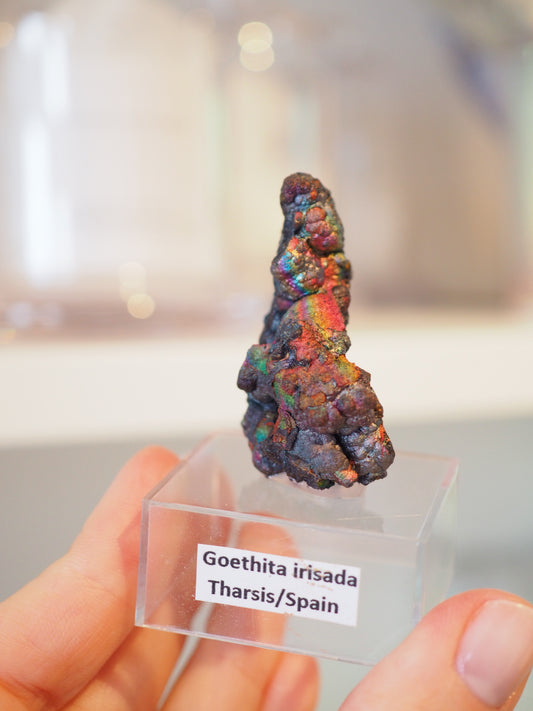 Irrisierende Goethit . Iridescent Goetite Specimen [ 12 ] ca. 4.8 cm - aus Tharsis . Spanien