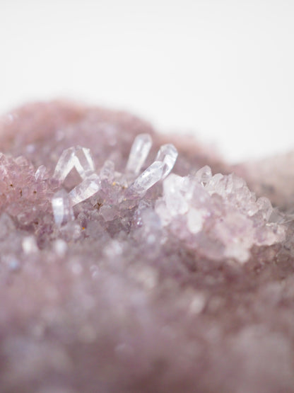 Amethyst Blume Cluster. Specimen ca. 13 cm [19] - aus Brasilien