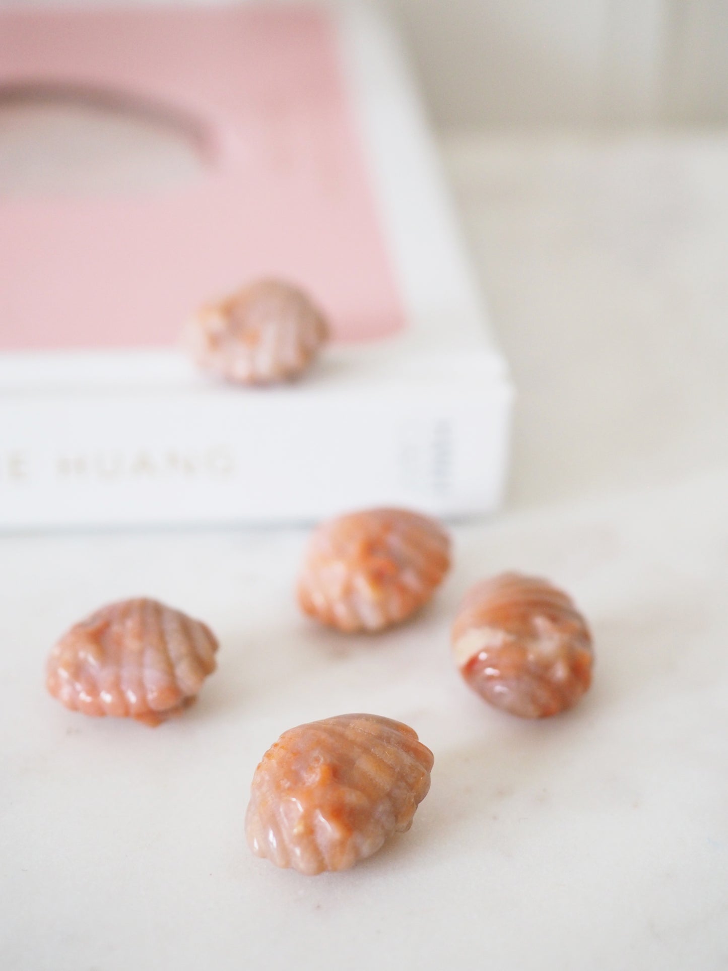 Coral Jasper Muschel mit Seestern - Carving