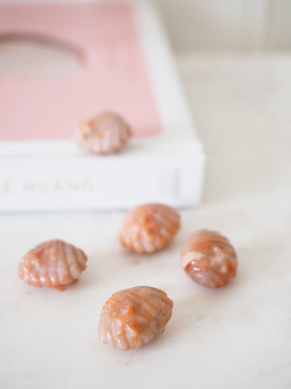 Coral Jasper Muschel mit Seestern - Carving