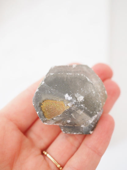 Baby Schwarzer Benz Calcit mit but irisierendem Pyrit ca. 5 cm [3]- aus Hubei China