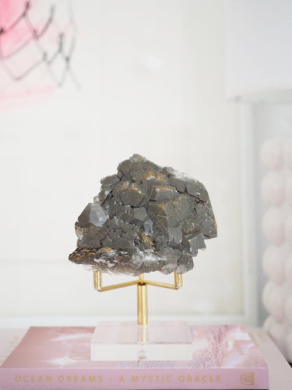 Dragon Sparkly schwarzer Benz Calcit mit Pyrit ca. 7.5 cm [1]- aus Hubei China SUPER RARE