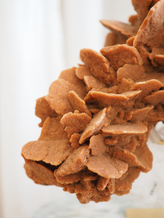 XL Sandrose . Desert Rose ca. 22 cm  - aus Marokko  HIGH QUALITY