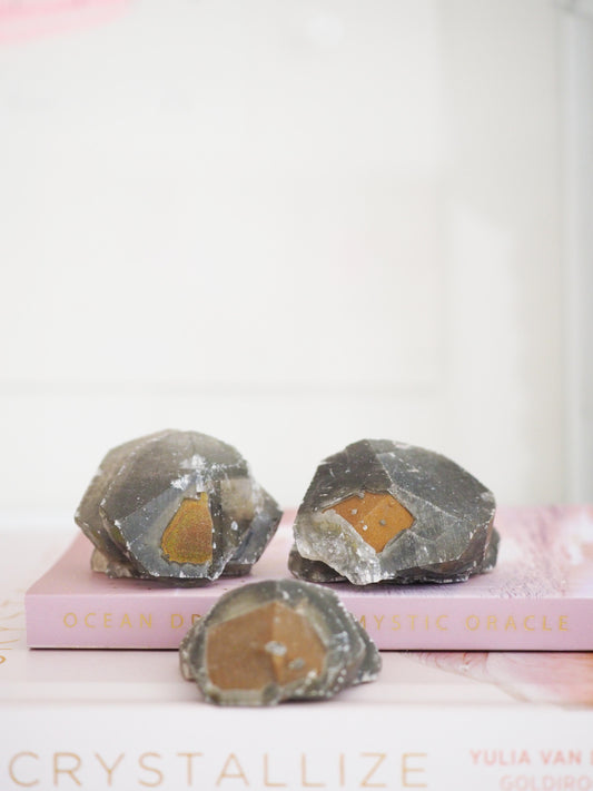 Baby Schwarzer Benz Calcit mit goldenem Pyrit ca. 5 cm - aus Hubei China