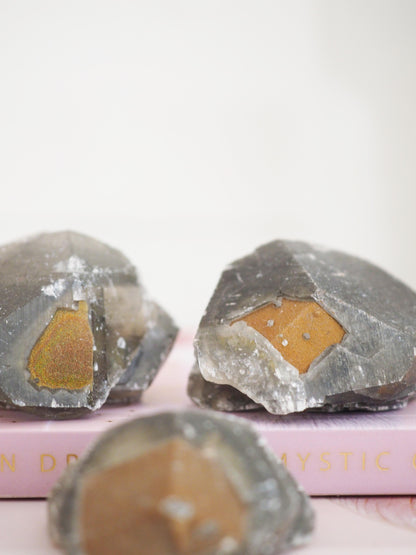 Baby Schwarzer Benz Calcit mit goldenem Pyrit ca. 5 cm - aus Hubei China