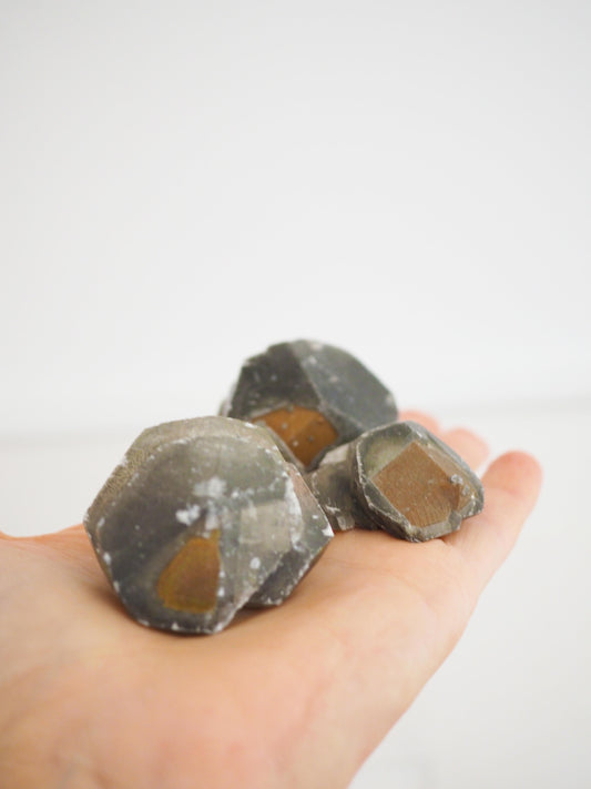 Baby Schwarzer Benz Calcit mit goldenem Pyrit ca. 5 cm - aus Hubei China