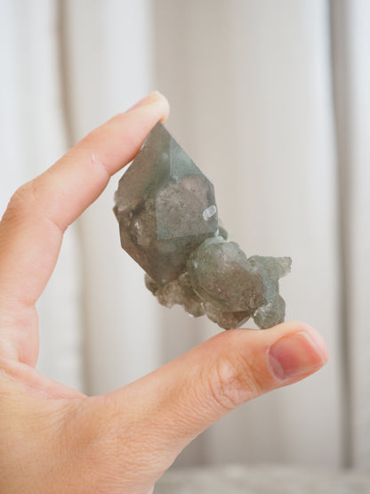 Mont Blanc Bergkristall X Chlorit  ca. 6 cm - Bassin de Taléfre . Massif du Mont-Blanc Frankreich RARE