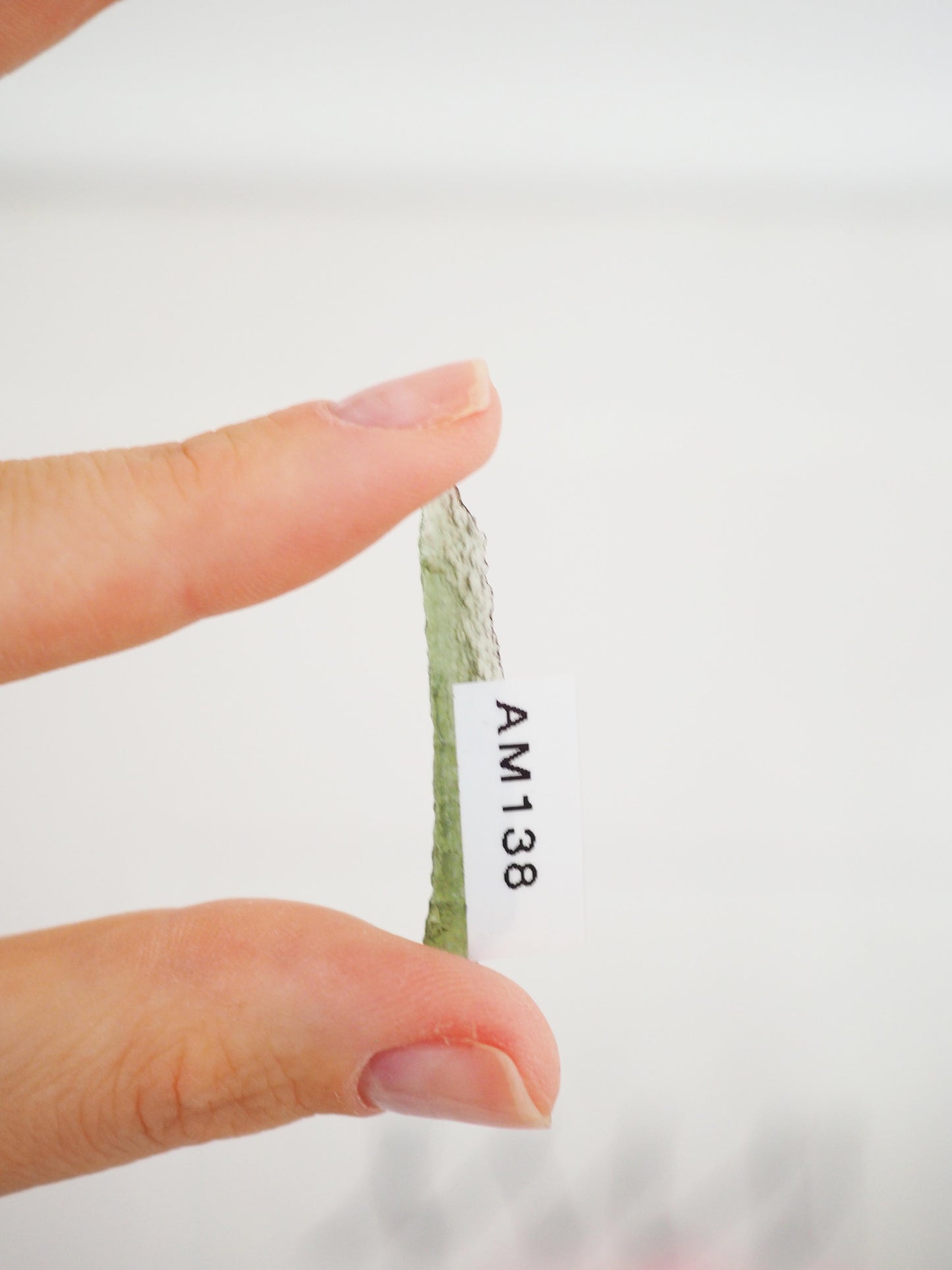 ANGEL CHIME Moldavit . Tektit - Tschechien SUPER RARE