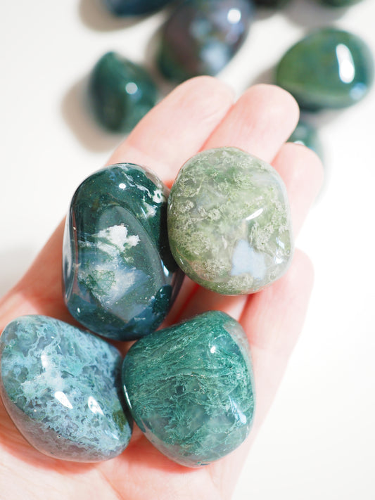 Moos Achat . Moss Agate Trommelstein ca 3-4 cm  - aus Indien HIGH QUALITY
