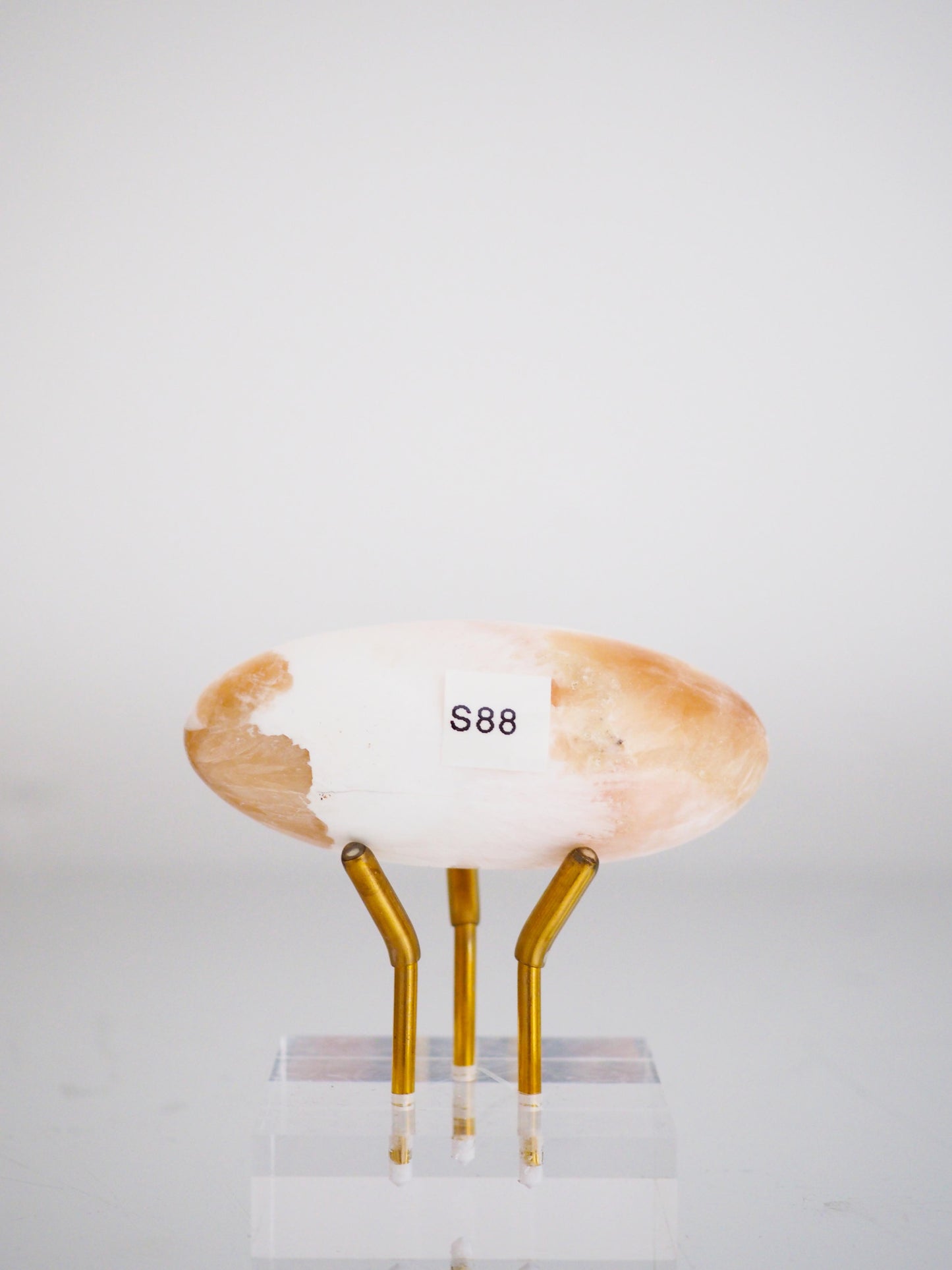 XL Skolescite X Stilbit Shiva ca. 7.5 cm - Indien HIGH QUALITY