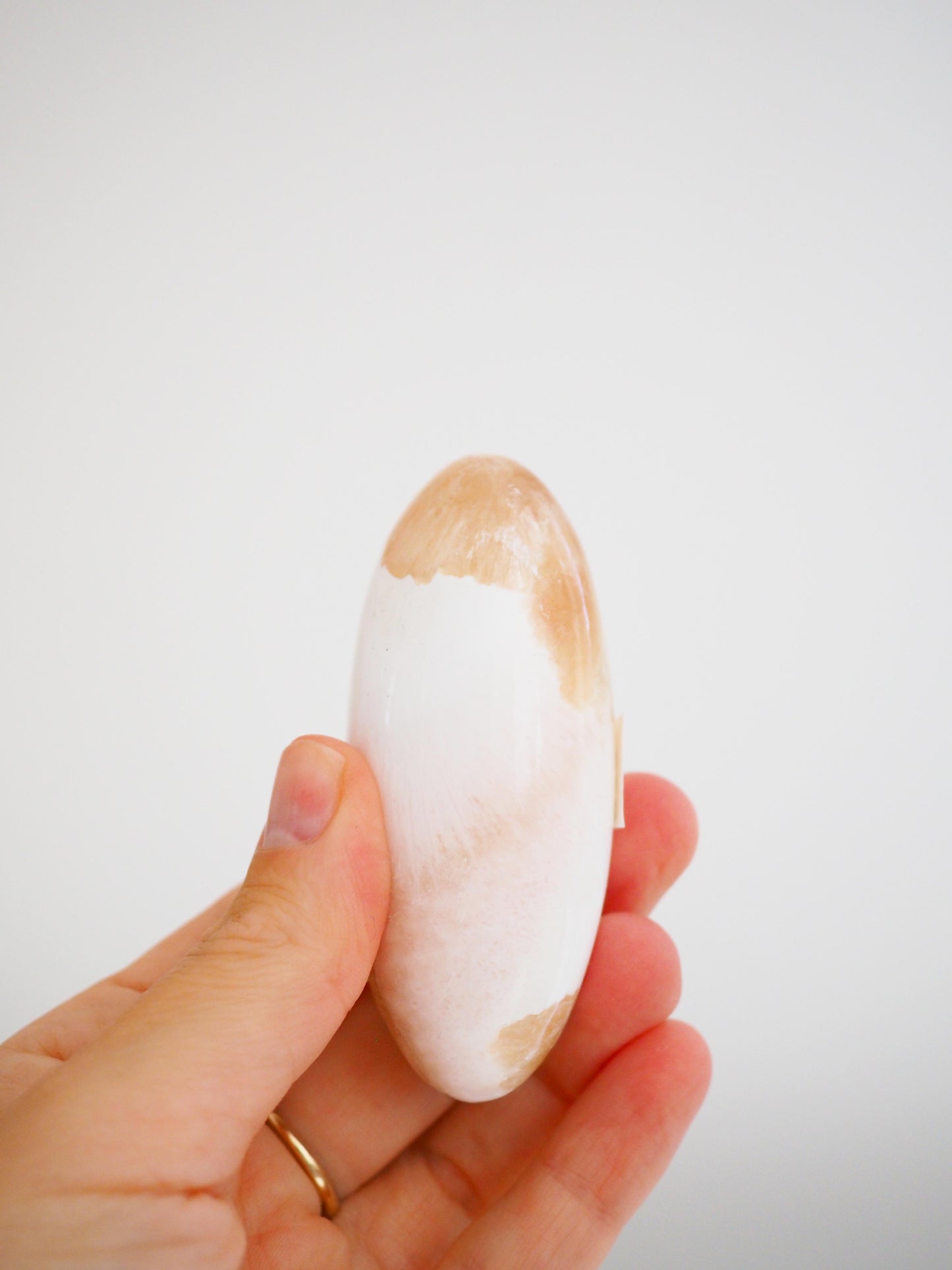 XL Skolescite X Stilbit Shiva ca. 7.5 cm - Indien HIGH QUALITY