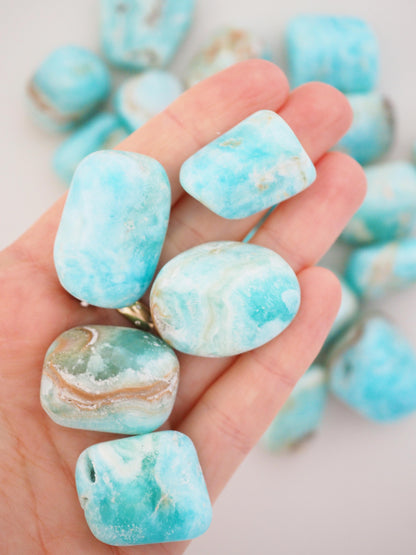 Karibischer Calcit .  Aragonit Trommel Stein . Caribbean Calcite . Aragonit Tumble ca. 3 cm - aus Pakistan HIGH QUALITY RARE