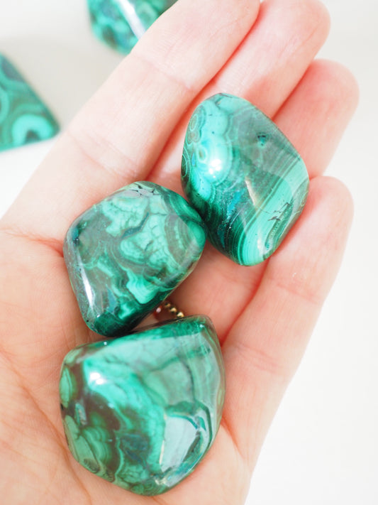 Chunky Malachit Trommel Stein . Malachite Tumble ca. 3 - 4 cm - aus D.R. Kongo