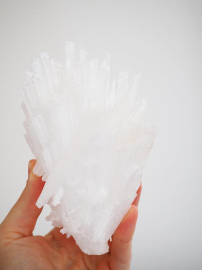 Scolescite Cluster . Specimen ca. 15 cm - Indien HIGH QUALITY