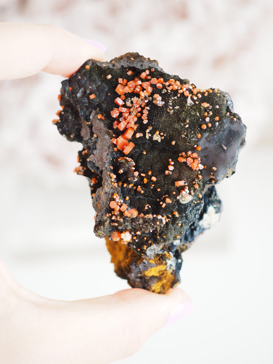 Sparkly Vanadinit mit Psilomelane . Goethite- aus Mibladen Bergbau Bezirk . Midelt. Marokko