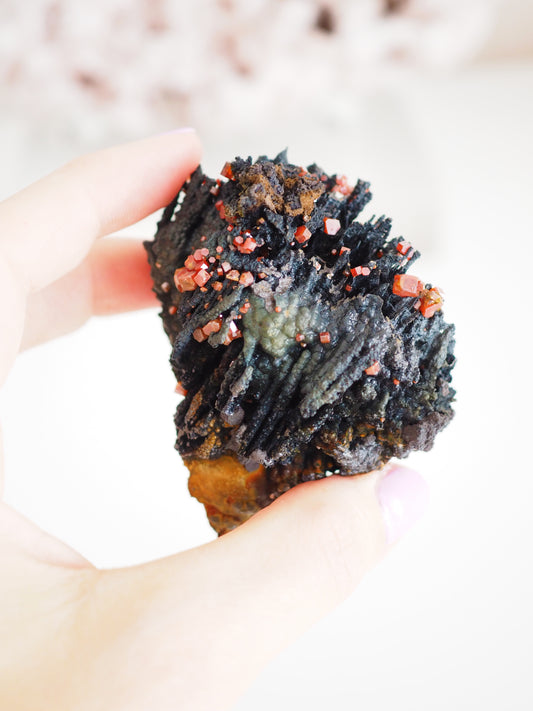 Vanadinit mit Psilomelane . Goethite- aus Mibladen Bergbau Bezirk . Midelt. Marokko